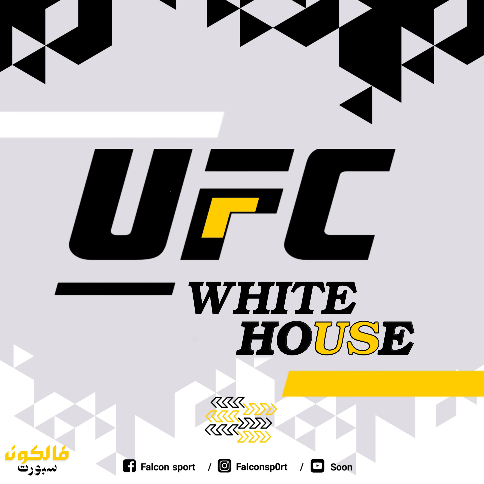 UFC WHITE HOUSE