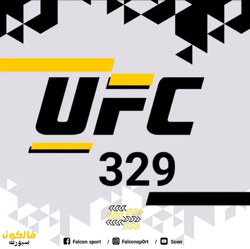 UFC 329