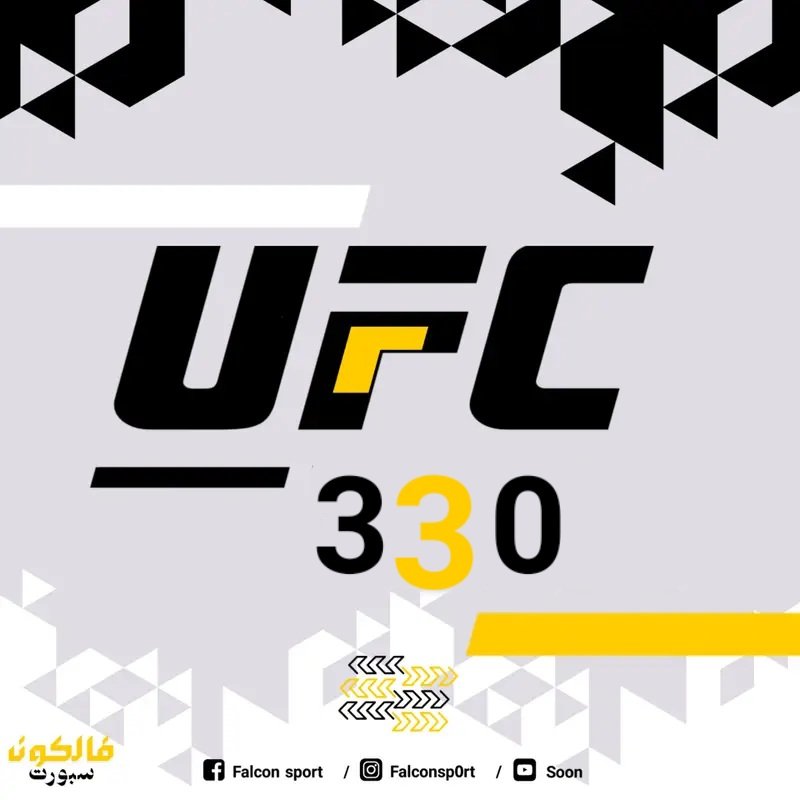 UFC 330