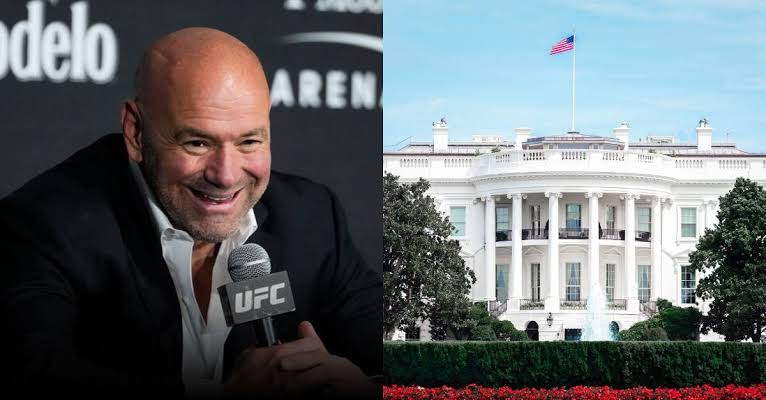 دانا وايت ينفي الطابع السياسي لعرض UFC في البيت الأبيض: “الحدث للاحتفال بأمريكا”