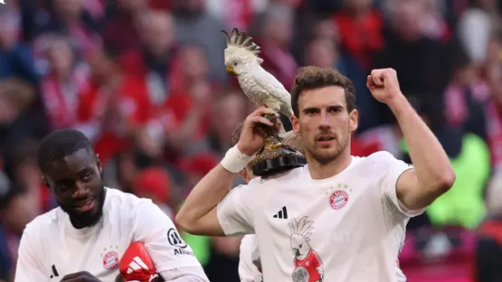 ببغاء في قلب الاحتفالات.. سر “الكوكاتو” يلفت الأنظار في تتويج بايرن ميونخ بالدوري الألماني