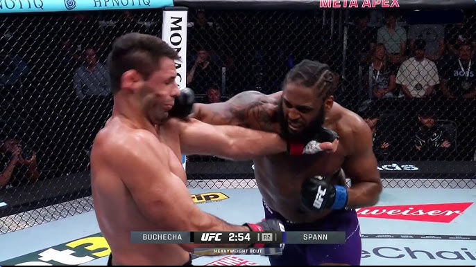 ضربة قاضية قوية تمنح ريان سبان انتصارًا جديدًا في الوزن الثقيل