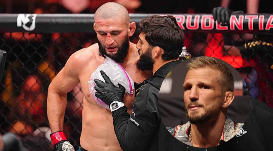 ديلاشاو يكشف كواليس صادمة لمعاناة شيماييف قبل UFC 328: كان على وشك الموت أثناء خفض الوزن