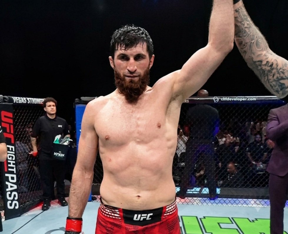 أنكالايف يحسم النزال الرئيسي بالضربة الفنية القاضية.. نتائج عرض UFC Abu Dhabi