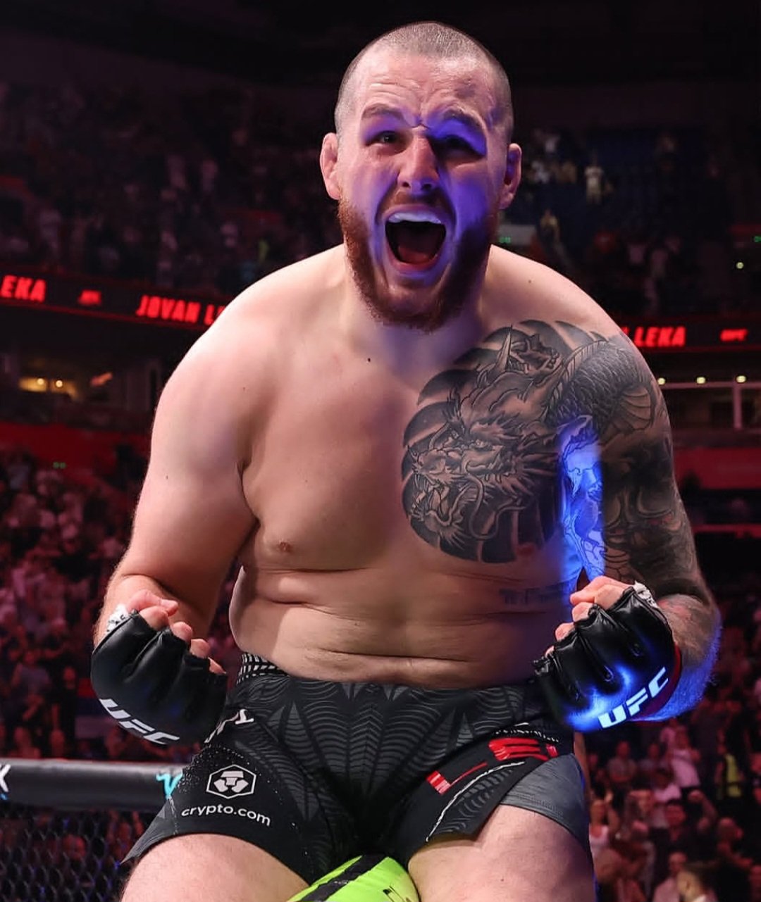 جوفان ليكا يدخل التاريخ بأول انتصار لمقاتل صربي في UFC على أرض بلاده