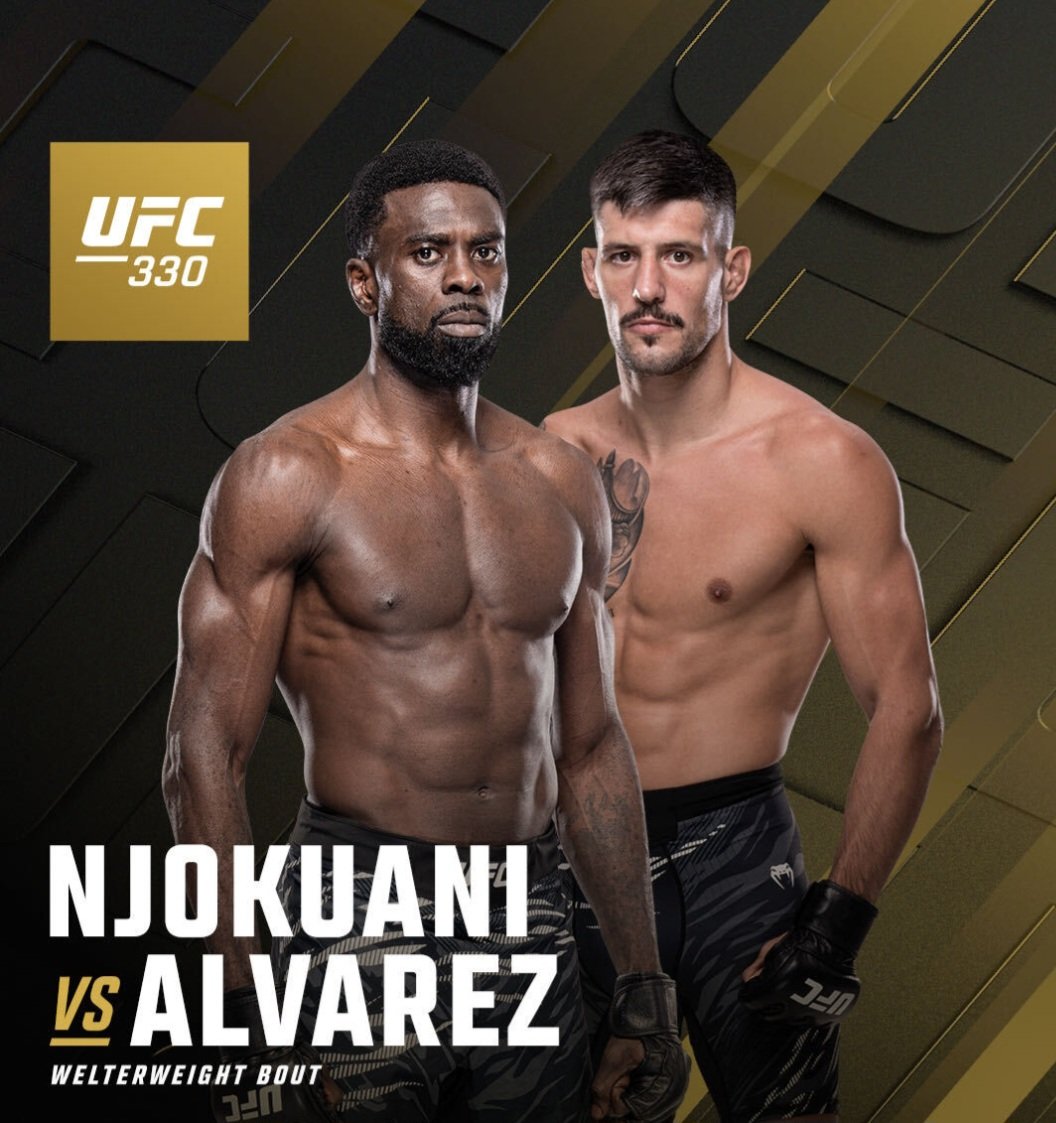 جويل ألفاريز ينقذ مواجهة تشيدي نجوكواني في UFC 330