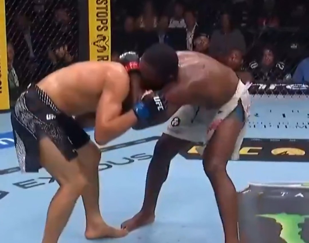 عودة مذهلة.. جيريميا ويلز يقلب الطاولة على أورولباي في UFC 330