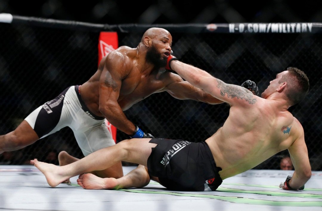 كريس ويدمان يكشف كيف صُدم بحجم يويل روميرو داخل قفص UFC: «لم أصدق ما رأيته»
