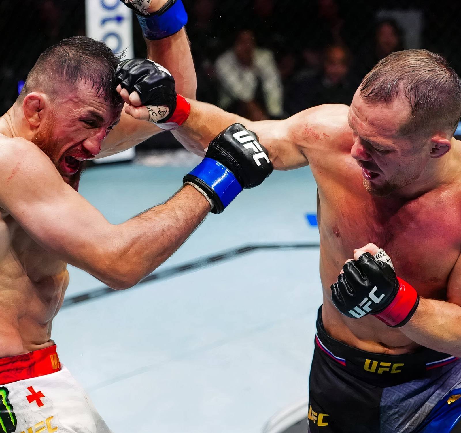 ردود فعل المقاتلين على المواجهة الملحمية بين بيتر يان وميراب دفاليشفيلي في UFC 333